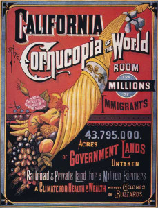 Ca-cornucopia_of_the_world